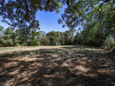 Acheter Terrain Lacaze Tarn