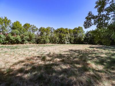 Acheter Terrain Lacaze 46000 euros