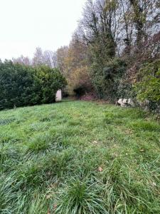 Acheter Terrain Champcevinel 56000 euros