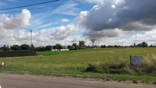 Annonce Vente Terrain Losne 21