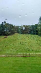 For sale Cheverny 13 rooms Loir et cher (41700) photo 3