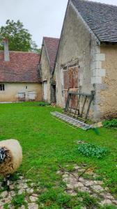 For sale Cheverny 13 rooms Loir et cher (41700) photo 4