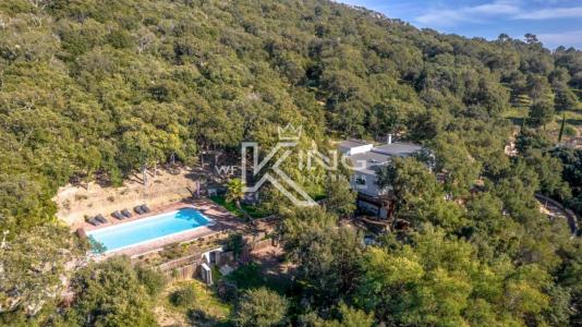 For sale Plan-de-la-tour 7 rooms 173 m2 Var (83120) photo 0