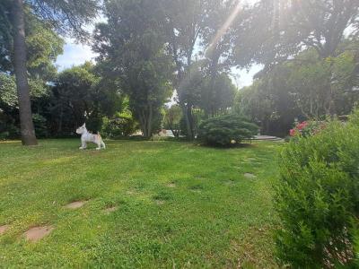 Annonce Vente 6 pices Maison Saint-jean-de-vedas 34