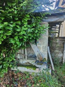 Annonce Vente Maison Montaignac-saint-hippolyte 19