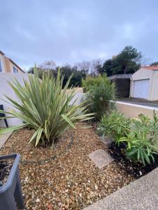 Annonce Location 2 pices Maison Chateau-d'olonne 85