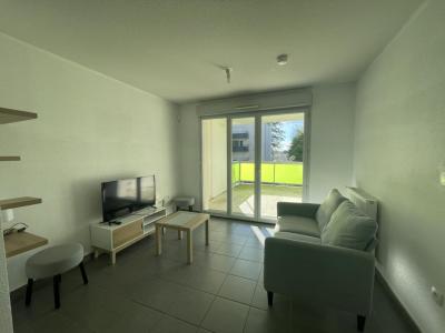 Annonce Location 2 pices Appartement Toulouse 31