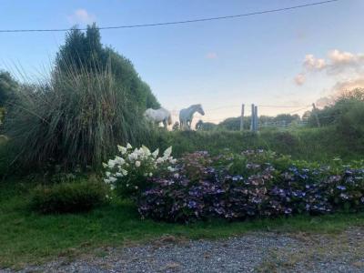 Acheter Maison Lignol Morbihan