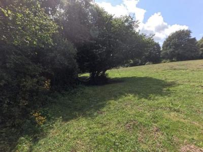 Acheter Maison Lignol 278185 euros