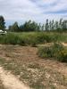 For sale Land Saint-hilaire-d'ozilhan  950 m2
