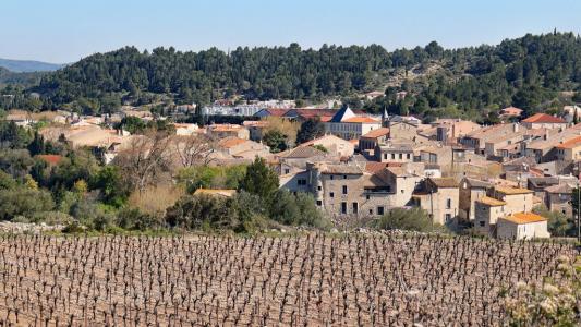 Acheter Terrain 362 m2 Portel-des-corbieres