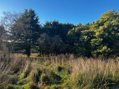 For sale Kervignac 1 room 95 m2 Morbihan (56700) photo 2