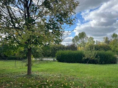 Acheter Maison Senan Yonne