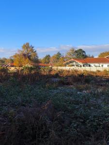 For sale Biscarrosse 485 m2 Landes (40600) photo 0