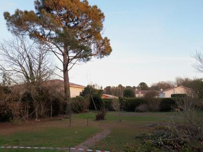 For sale Lanton 562 m2 Gironde (33138) photo 0