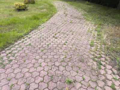 Annonce Vente Terrain Parentis-en-born 40