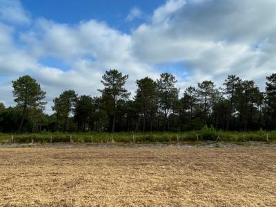 For sale Parentis-en-born 485 m2 Landes (40160) photo 0