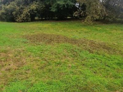 For sale Parentis-en-born 1000 m2 Landes (40160) photo 0