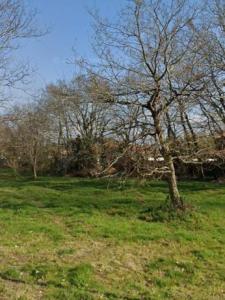 Acheter Maison 62 m2 Gastes