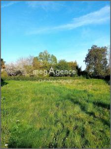 Acheter Maison 130 m2 Brizambourg