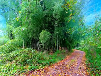 For sale Lescure-d'albigeois 3192 m2 Tarn (81380) photo 0