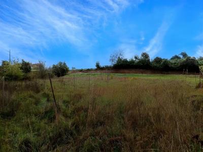 Acheter Terrain Lescure-d'albigeois Tarn