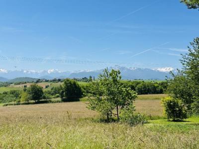 Annonce Vente Prestige Lasserre 09