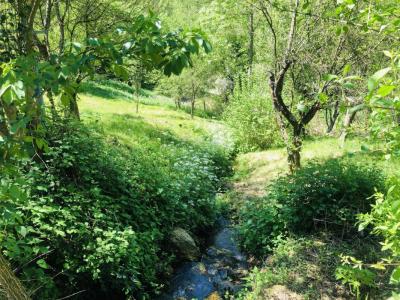 Acheter Maison Saint-lary Ariege