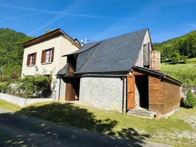 Annonce Vente 6 pices Maison Saint-lary 09