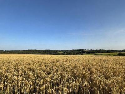 Annonce Vente Maison Payzac 24