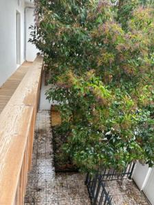 Acheter Appartement 59 m2 Arcachon