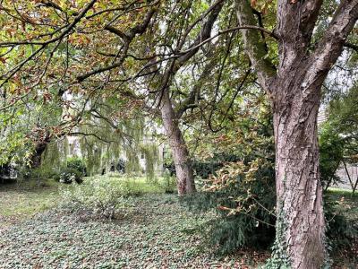 Annonce Vente 5 pices Maison Monceau-les-leups 02