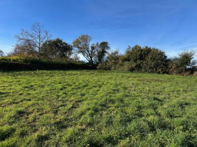 Annonce Vente Terrain Treguier 22