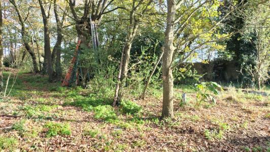 For sale Guenrouet 2 rooms 54 m2 Loire atlantique (44530) photo 3