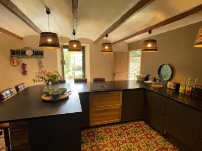 Acheter Maison Saint-christol-les-ales 550000 euros