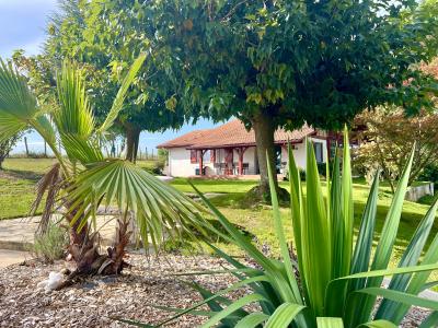 Annonce Vente 6 pices Maison Saint-palais 64