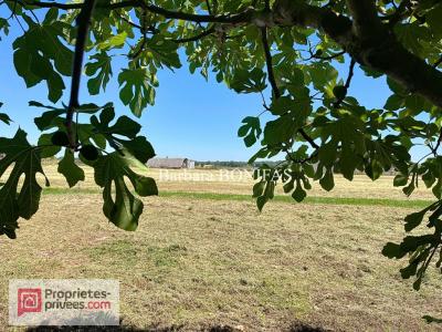 Annonce Vente 3 pices Maison Saint-sulpice 81