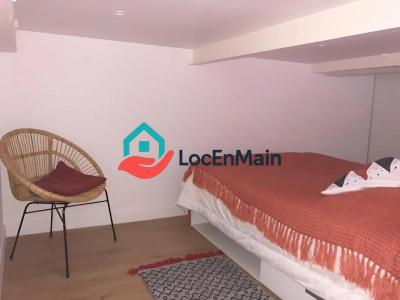 For rent Lyon-7eme-arrondissement 2 rooms 25 m2 Rhone (69007) photo 4