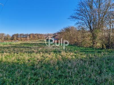 Annonce Vente Terrain Escoeuilles 62