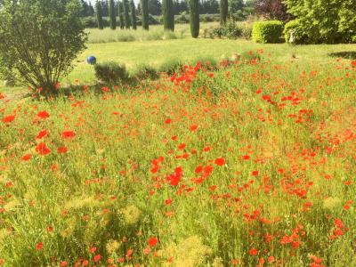 Acheter Maison 248 m2 Isle-sur-la-sorgue