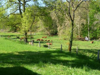 Annonce Vente 4 pices Maison Gourdon 46