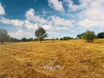 Annonce Vente Terrain Villeneuve-minervois 11