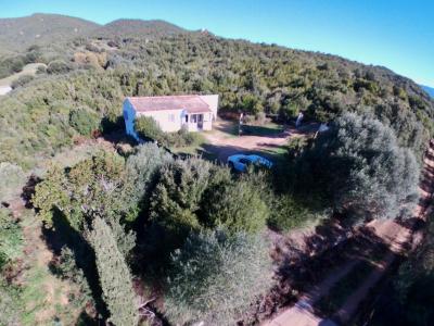 Annonce Vente 4 pices Maison Cognocoli-monticchi 20