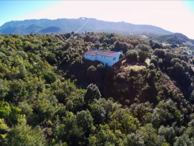 Acheter Maison 80 m2 Cognocoli-monticchi