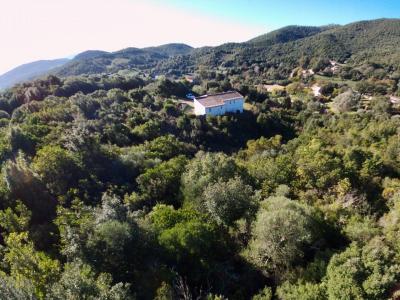 Acheter Maison Cognocoli-monticchi Corse