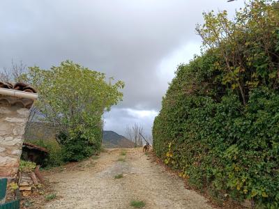 Acheter Terrain Causses-et-veyran