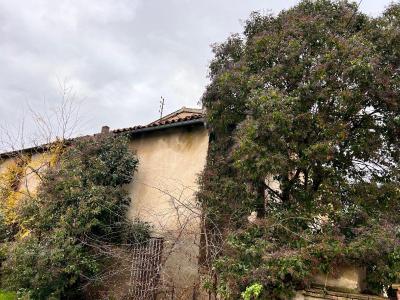 Annonce Vente 4 pices Maison Toulouse 31