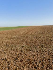 Annonce Vente Terrain Sainte-soulle 17