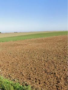 Acheter Terrain 480 m2 Sainte-soulle
