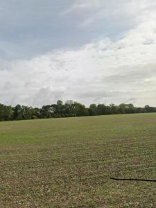 Acheter Terrain 439 m2 Anais